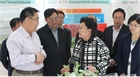 市委副書記、代市長艾麗華來我公司考察、調(diào)研