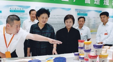 原中共中央政治局委員、國務(wù)院副總理劉延?xùn)|視察我公司